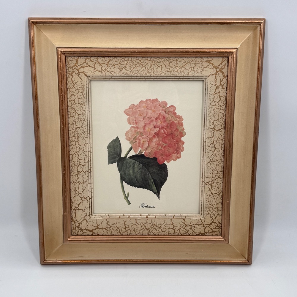 Redoute Hydrangea Botanical Print Framed Bombay Co Crackle Gilt 19x21